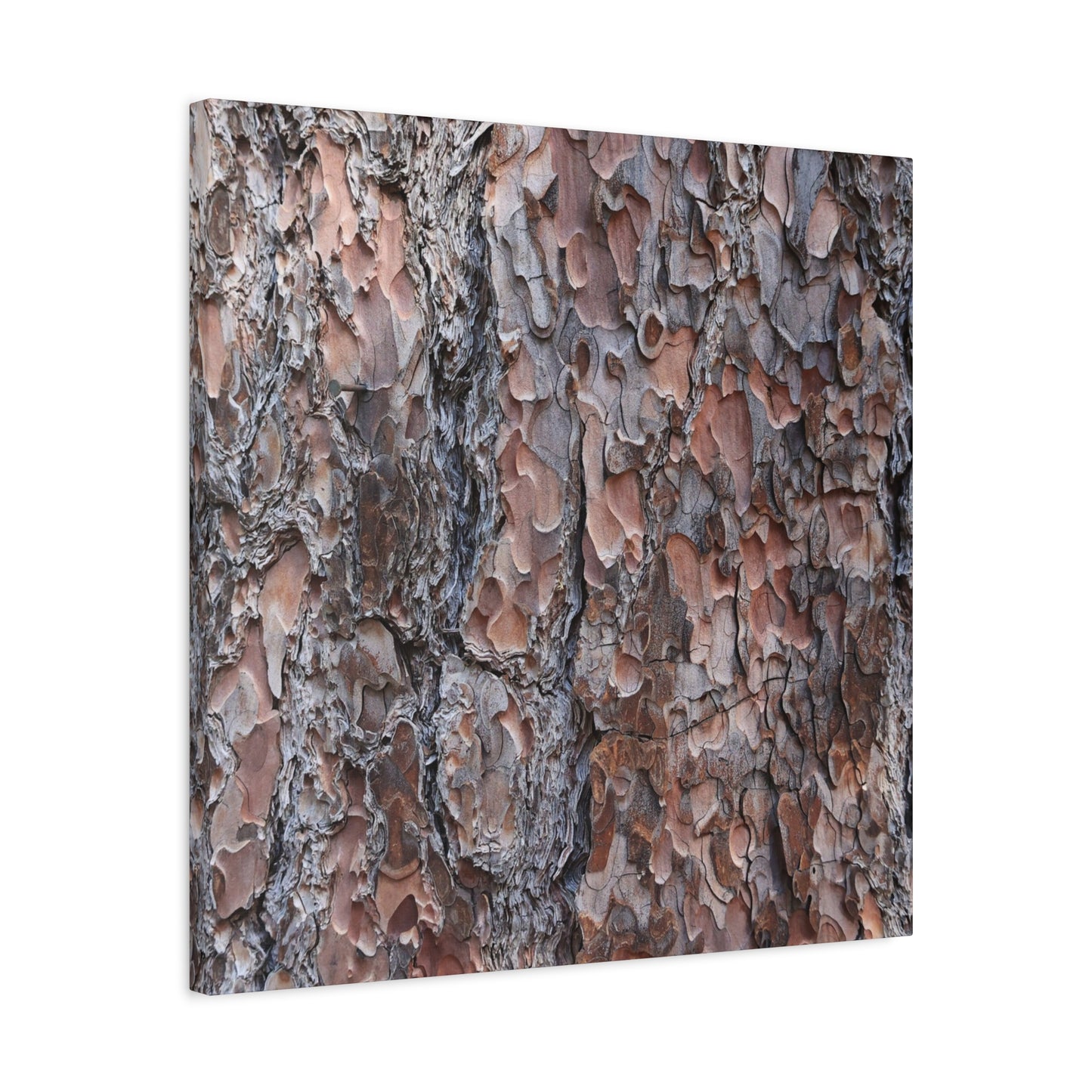 Woodland Armor - Unique Frameless Canvas Wall Art - Art By Earth