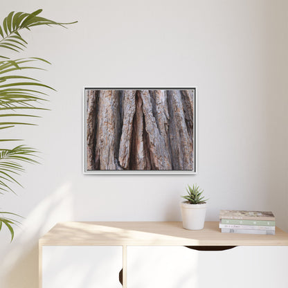 Nature's Sculpture - Unique Stretched Canvas Wall Art - Art By Earth
