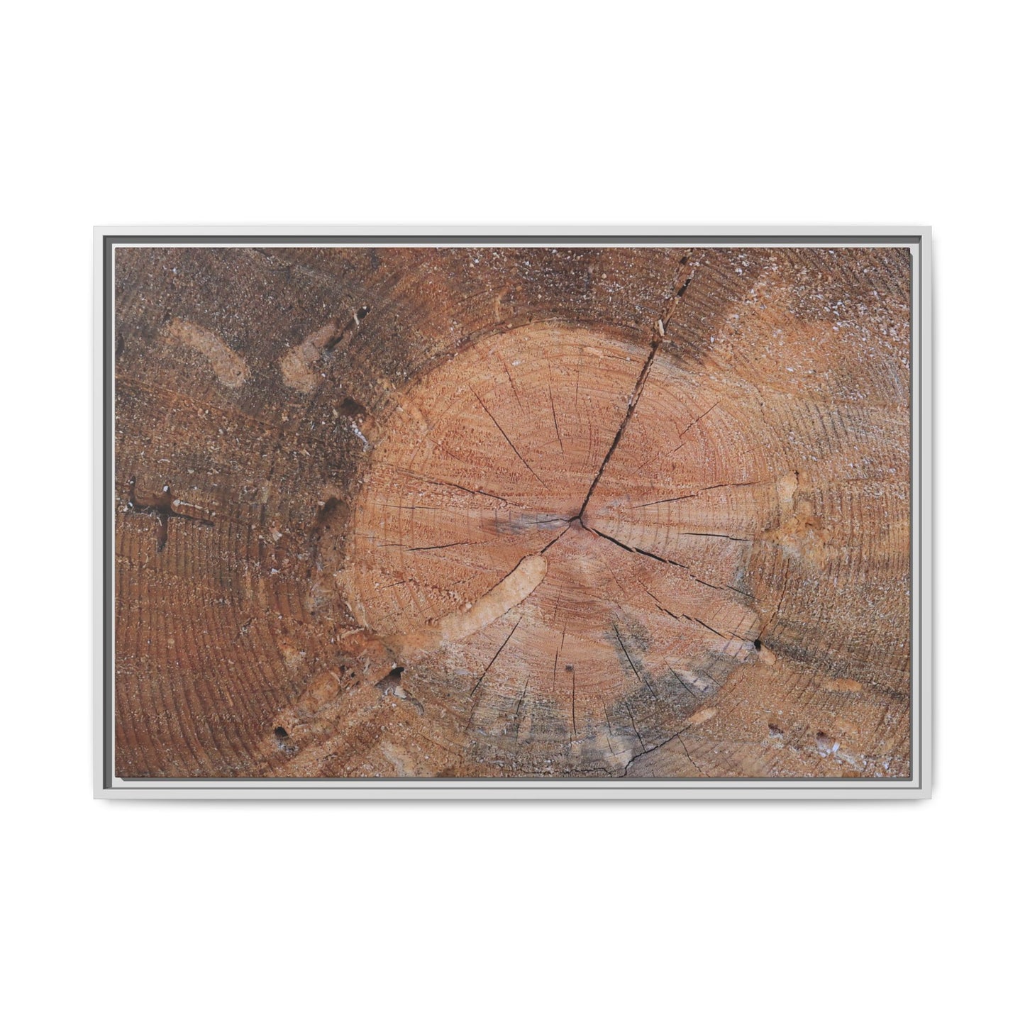 Concentric Memories - Unique Stretched Canvas Wall Art - Art By Earth