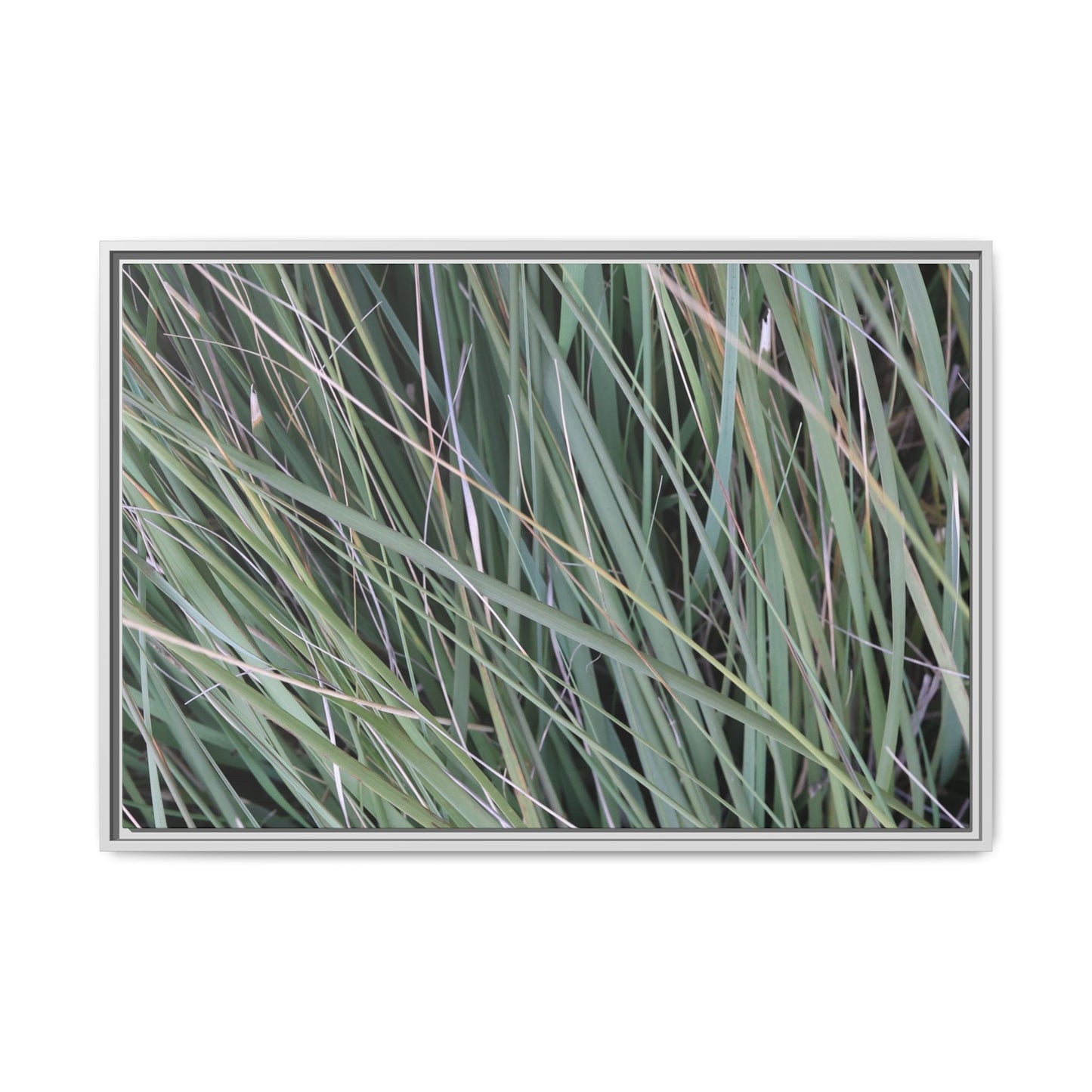 Grassland Symphony - Unique Stretched Canvas Wall Art - Art By Earth