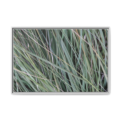 Grassland Symphony - Unique Stretched Canvas Wall Art - Art By Earth