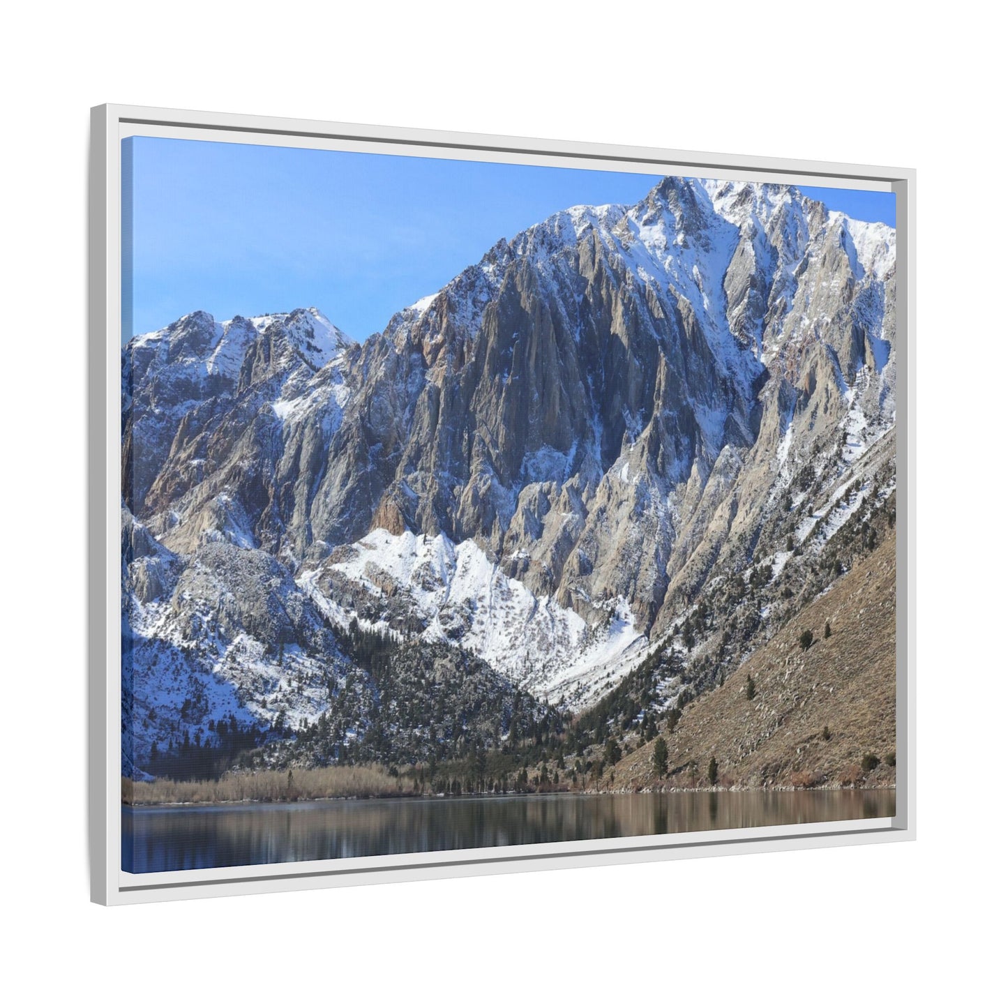 Frozen Reflection - Unique Stretched Canvas Wall Art