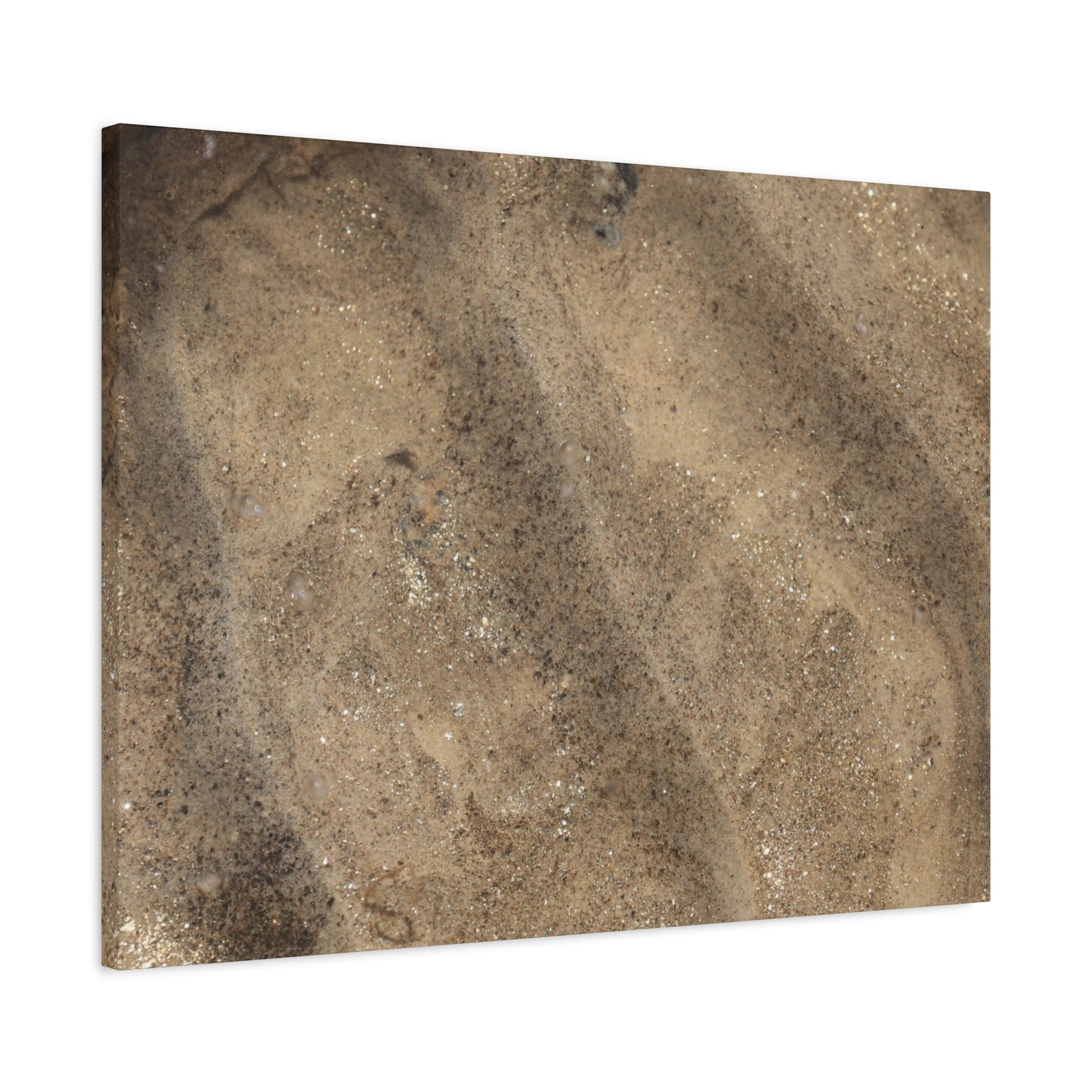 Shallow Waters - Unique Frameless Canvas Wall Art - Art By Earth