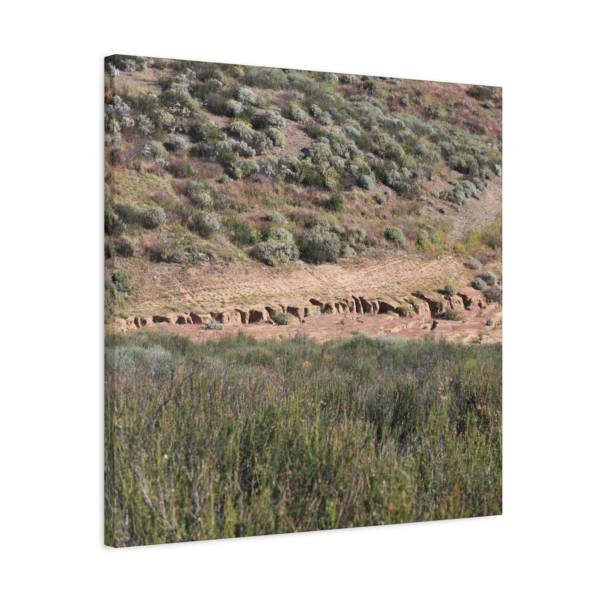 Ancient Dwellings in the Desert Valley - Unique Frameless Canvas Wall Art - Art By Earth