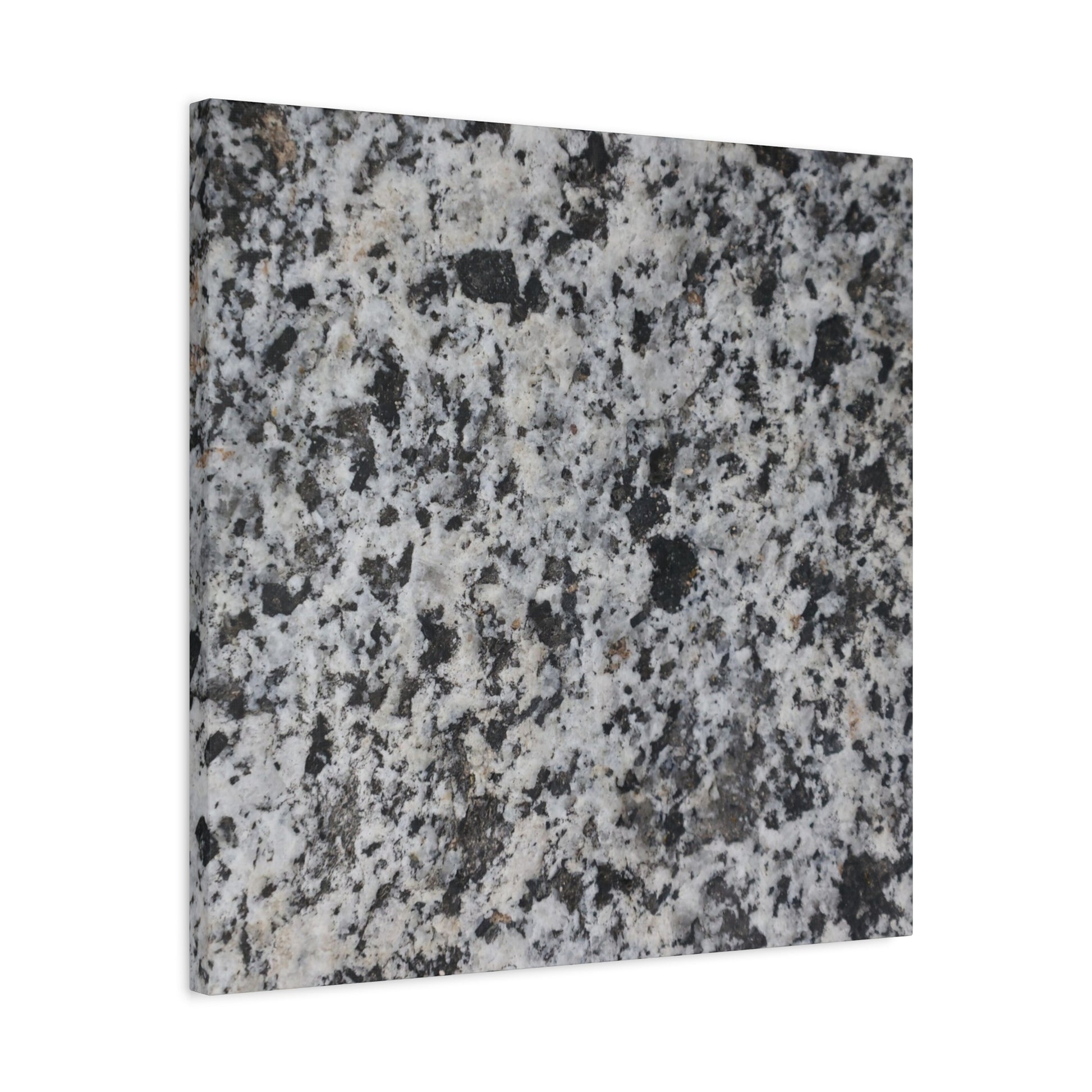 Grainy Whispers - Unique Frameless Canvas Wall Art - Art By Earth