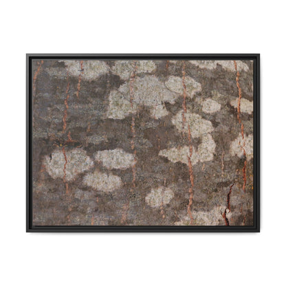 Lichen's Legacy - Unique Stretched Canvas Wall Art - Art By Earth