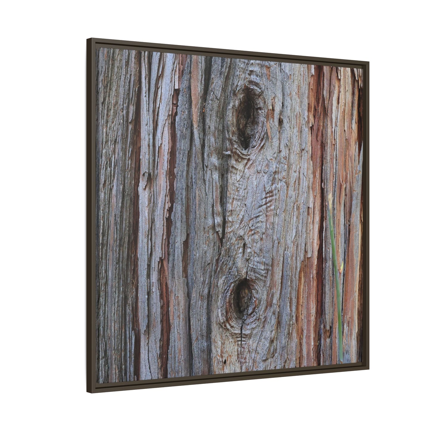 Knotty Nature - Unique Stretched Canvas Wall Art - Art By Earth