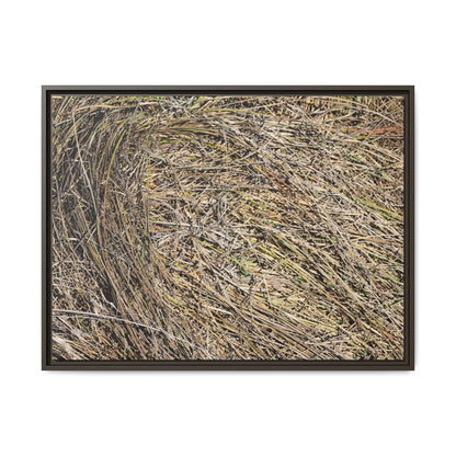 Tangled Grass Symphony - Unique Stretched Canvas Wall Art - Art By Earth