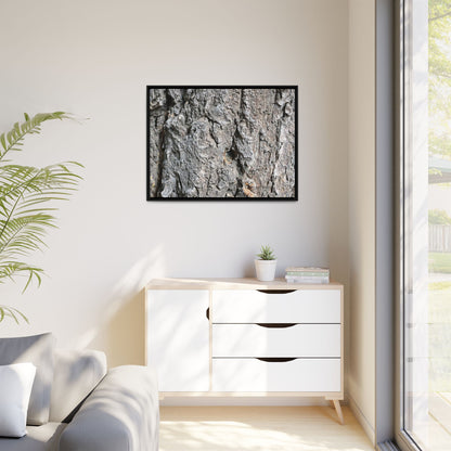 Crusty Exterior - Unique Stretched Canvas Wall Art - Art By Earth