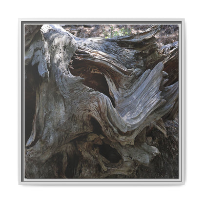 Twisted Memories - Unique Stretched Canvas Wall Art - Art By Earth