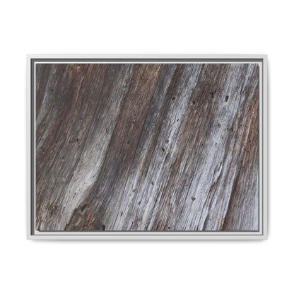 Aged Timber Texture - Unique Stretched Canvas Wall Art - Art By Earth