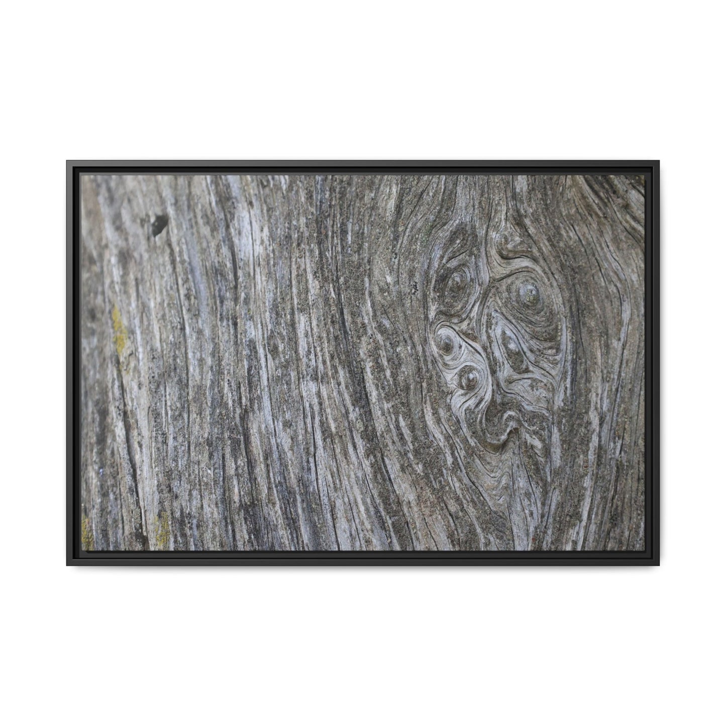 Eternal Knots - Unique Stretched Canvas Wall Art - Art By Earth