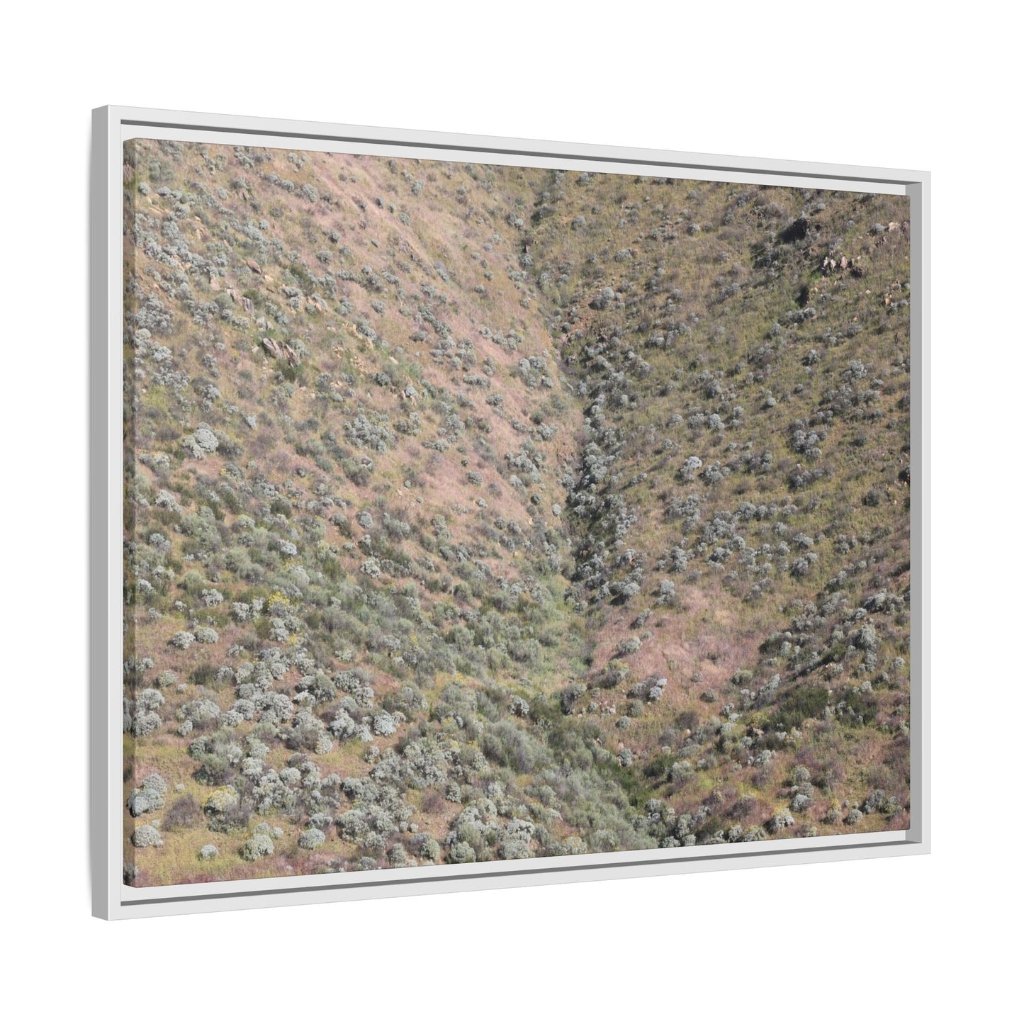 Mountain Slope with Desert Vegetation - Unique Stretched Canvas Wall Art - Art By Earth