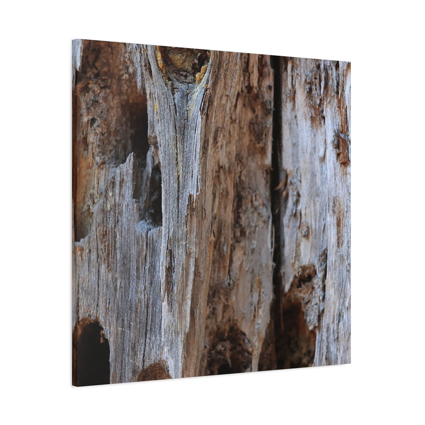 Timber Tapestry - Unique Frameless Canvas Wall Art - Art By Earth