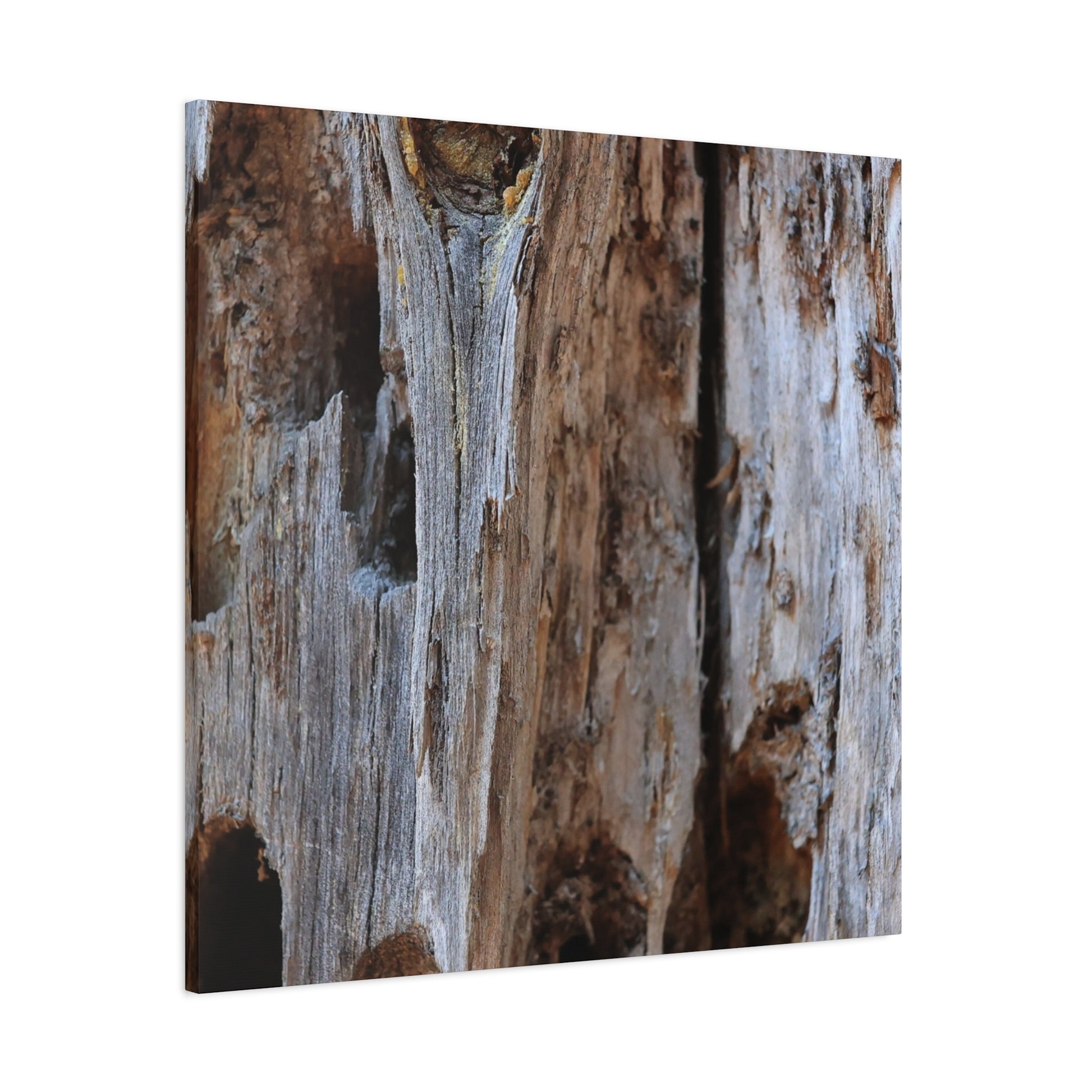 Timber Tapestry - Unique Frameless Canvas Wall Art - Art By Earth