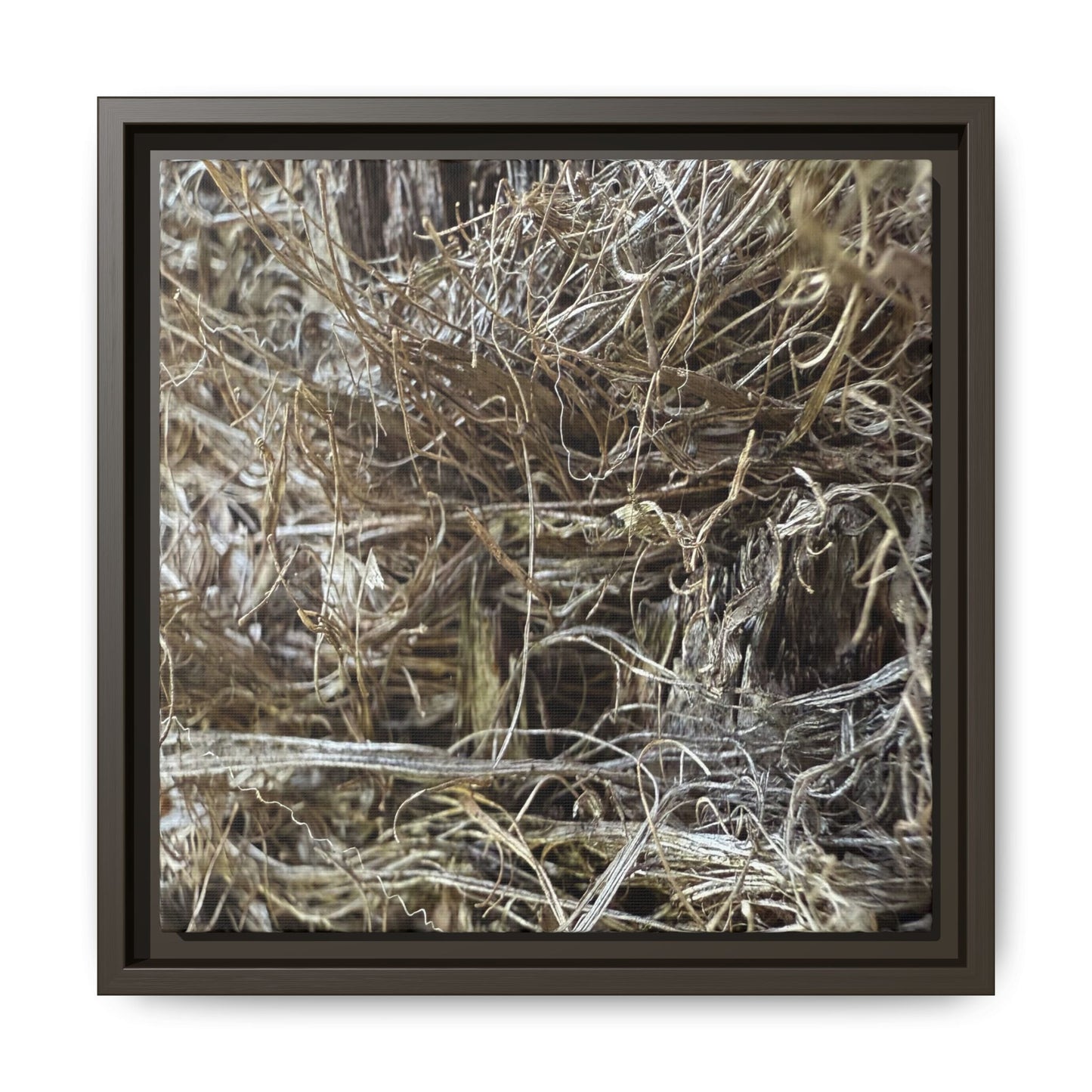 Tangled Whispers of Autumn - Unique Stretched Canvas Wall Art - Art By Earth