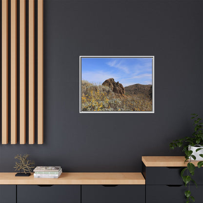 Golden Flowers in Arid Landscape - Unique Stretched Canvas Wall Art - Art By Earth