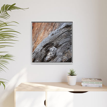 Time's Mark on Timber - Unique Stretched Canvas Wall Art - Art By Earth