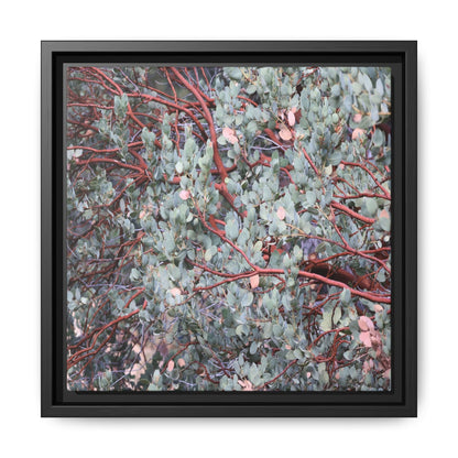 Whispers of Sage - Unique Stretched Canvas Wall Art - Art By Earth