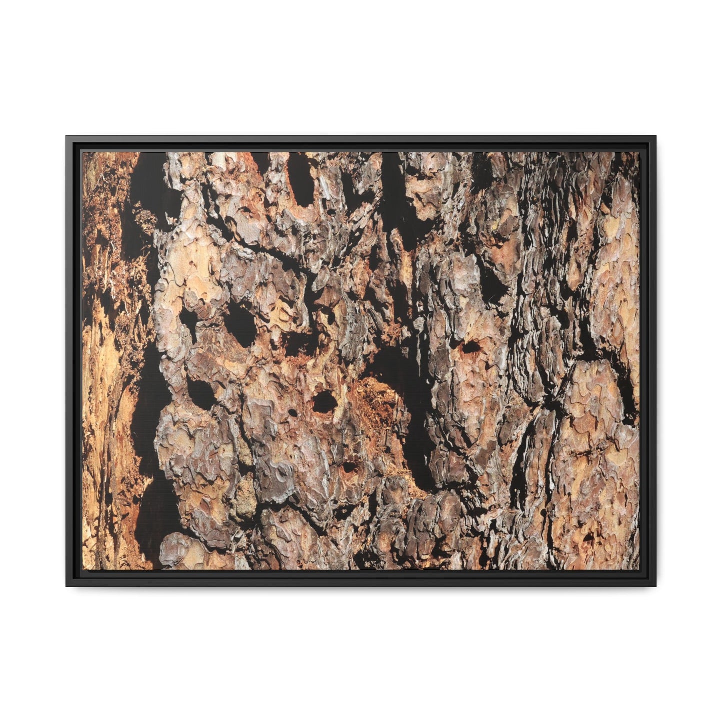 Rugged Rhythms - Unique Stretched Canvas Wall Art - Art By Earth