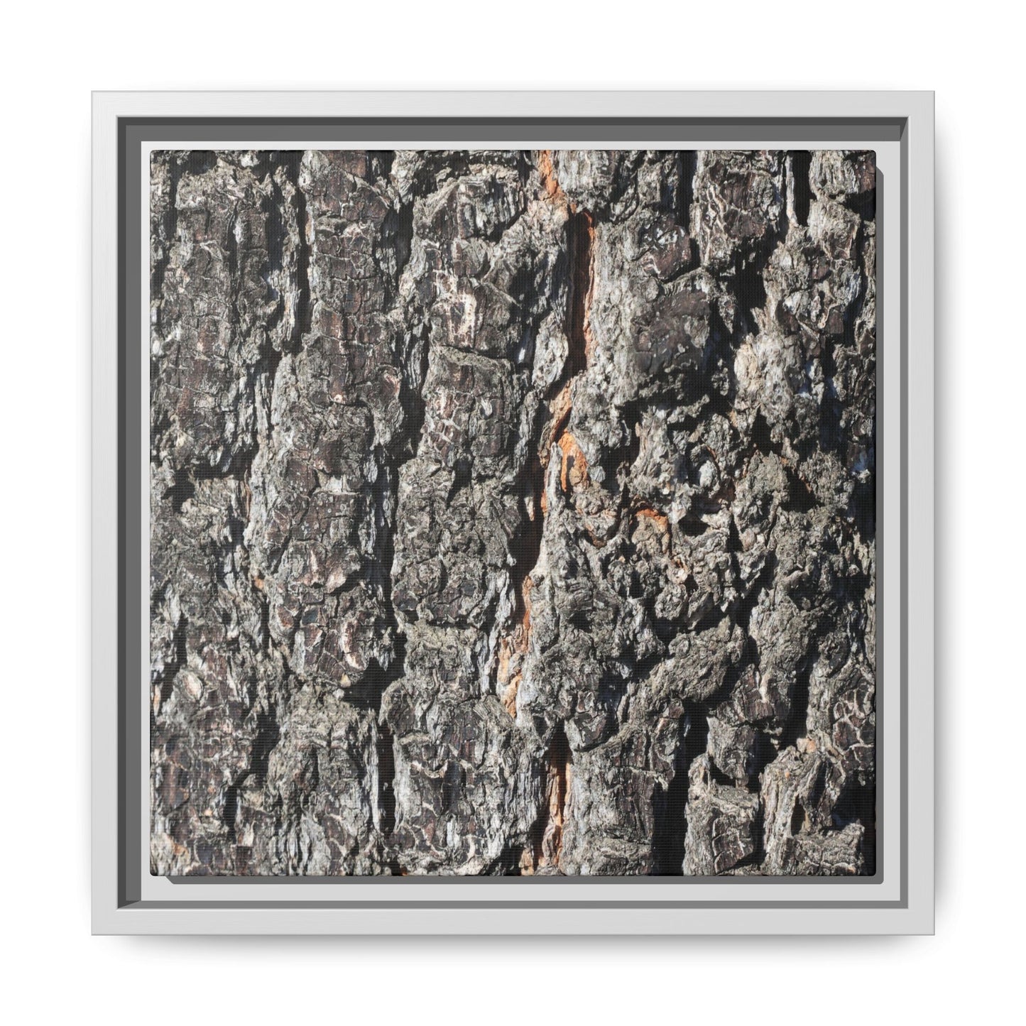 Aged Beauty - Unique Stretched Canvas Wall Art - Art By Earth