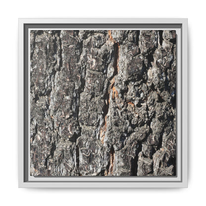 Aged Beauty - Unique Stretched Canvas Wall Art - Art By Earth