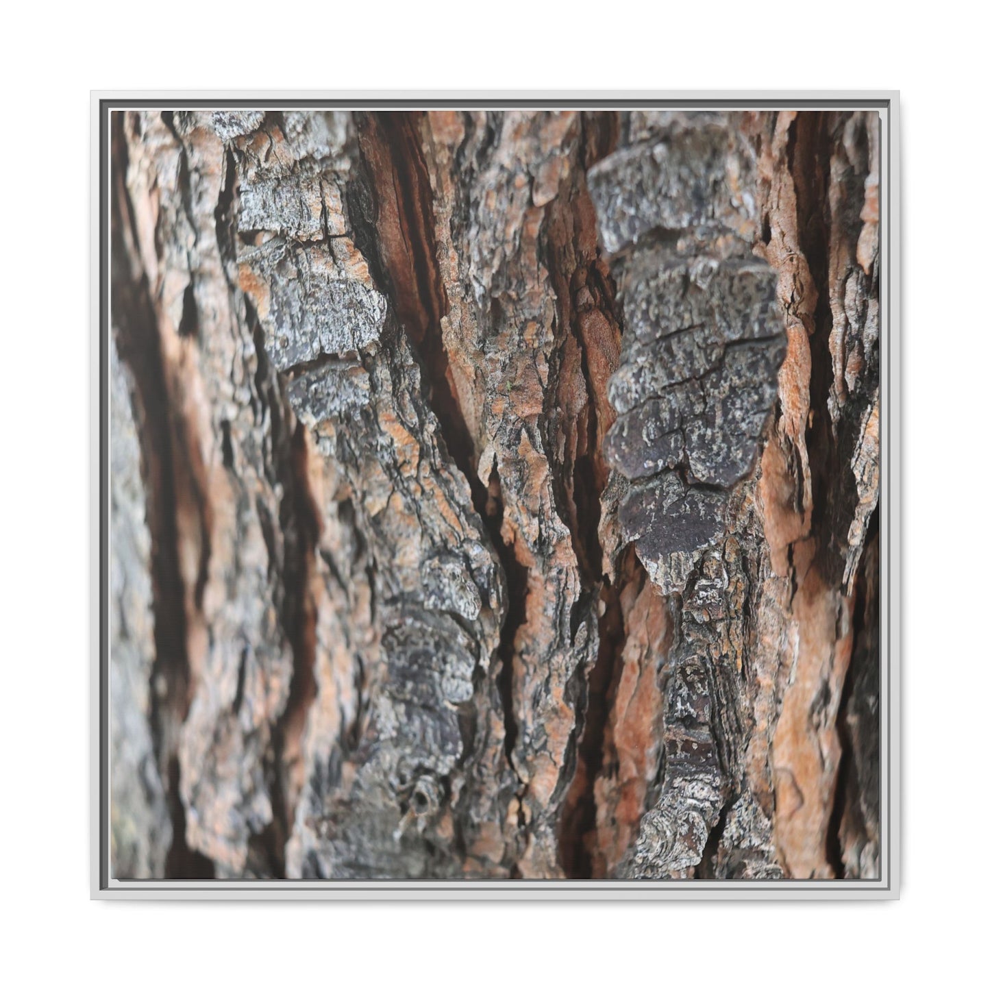 Fractured Nature - Unique Stretched Canvas Wall Art - Art By Earth