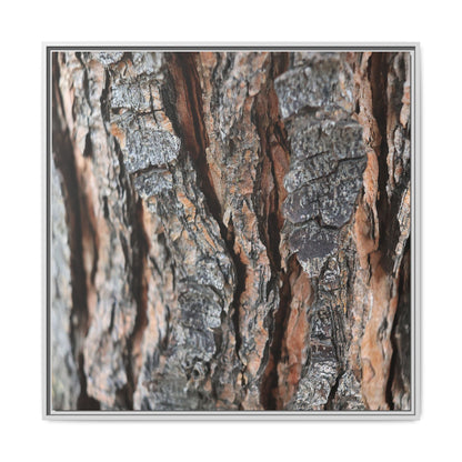 Fractured Nature - Unique Stretched Canvas Wall Art - Art By Earth