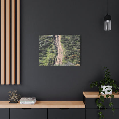 Straight Road Cutting Through Wilderness - Unique Frameless Canvas Wall Art - Art By Earth