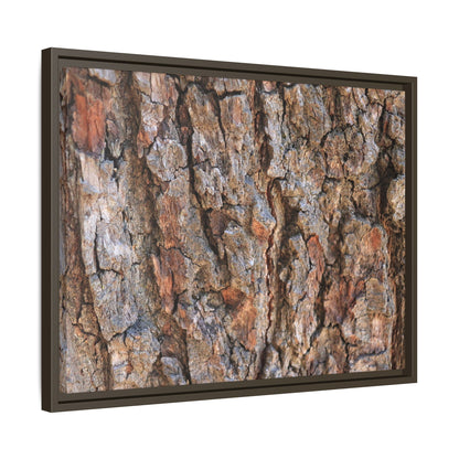 Tree's Timeworn Tale - Unique Stretched Canvas Wall Art - Art By Earth