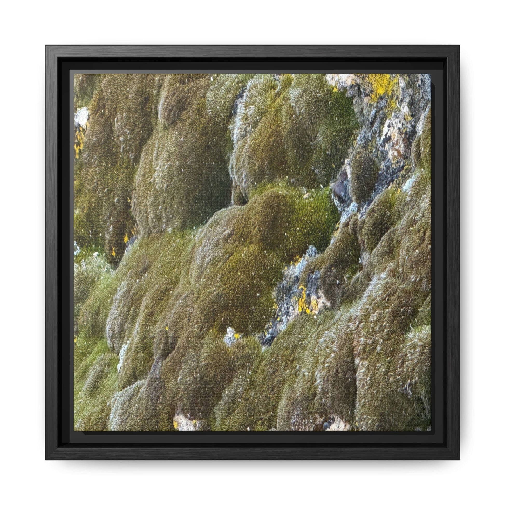 Moss Symphony - Unique Stretched Canvas Wall Art - Art By Earth