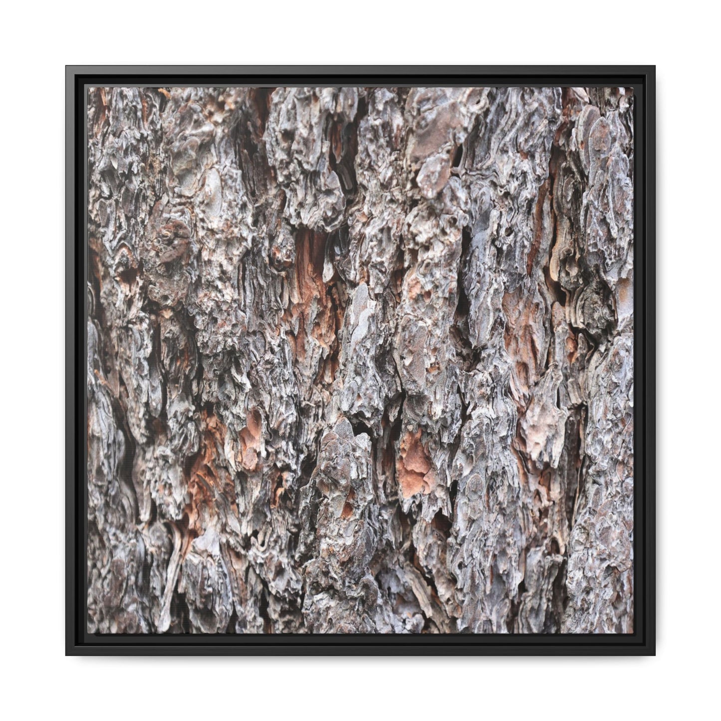 Rugged Cortex - Unique Stretched Canvas Wall Art - Art By Earth