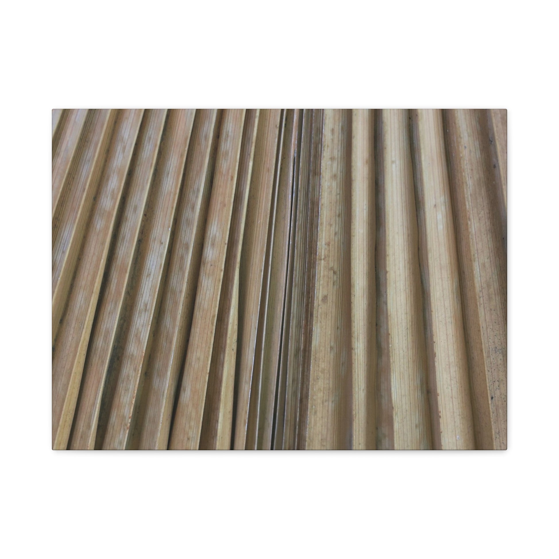 Linear Rhythm - Unique Frameless Canvas Wall Art - Art By Earth