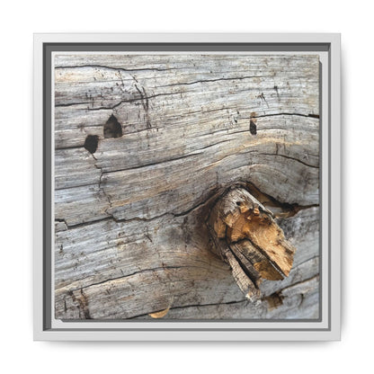 Weathered Wood Texture - Unique Stretched Canvas Wall Art - Art By Earth