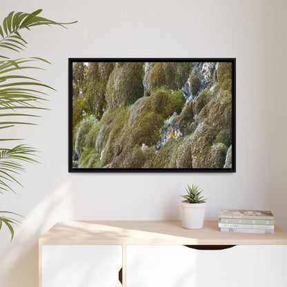 Moss Symphony - Unique Stretched Canvas Wall Art