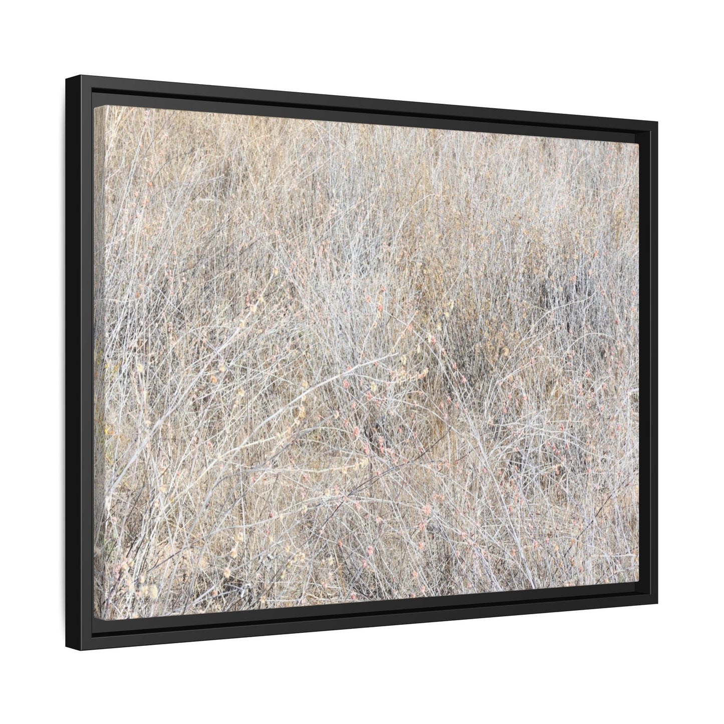 Whispers of Dry Grass - Unique Stretched Canvas Wall Art - Art By Earth