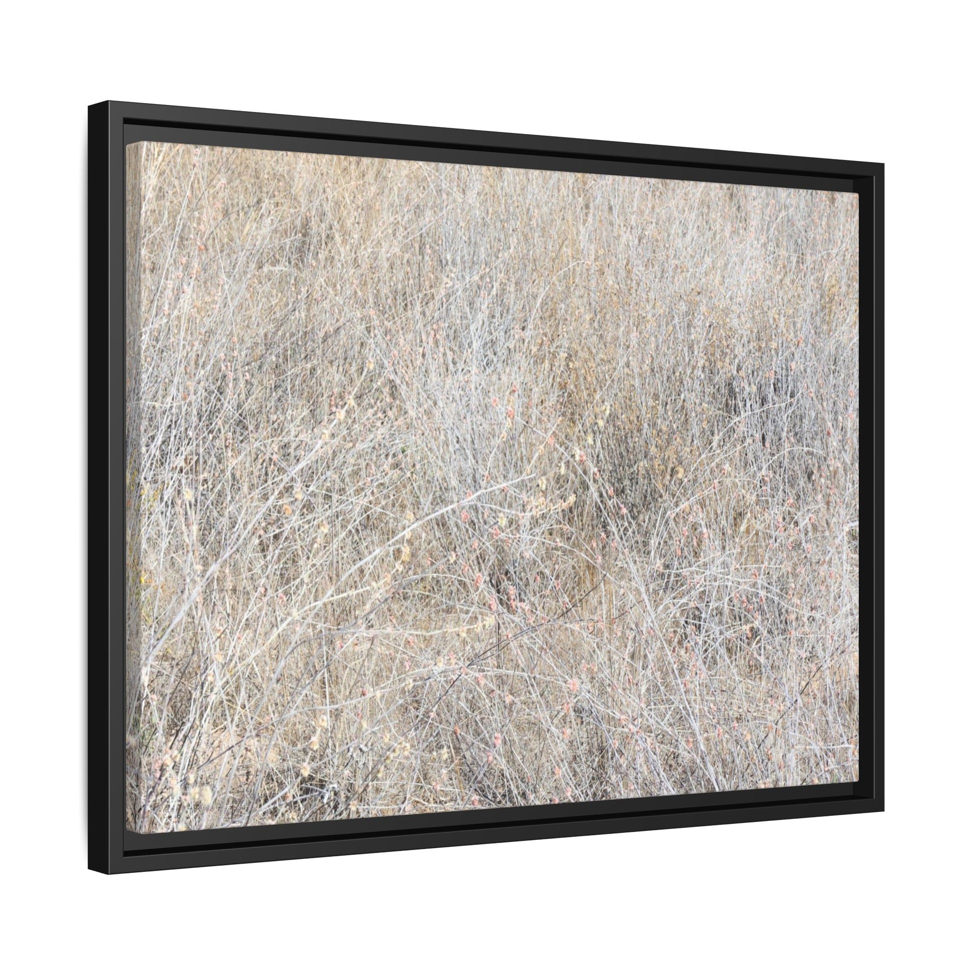 Whispers of Dry Grass - Unique Stretched Canvas Wall Art - Art By Earth
