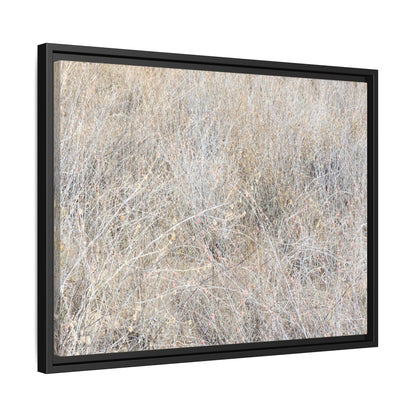 Whispers of Dry Grass - Unique Stretched Canvas Wall Art - Art By Earth