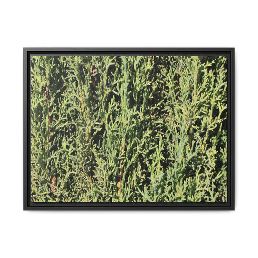 Emerald Labyrinth - Unique Stretched Canvas Wall Art - Art By Earth