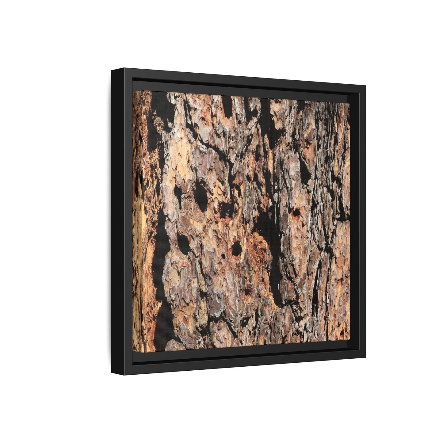 Rugged Rhythms - Unique Stretched Canvas Wall Art - Art By Earth