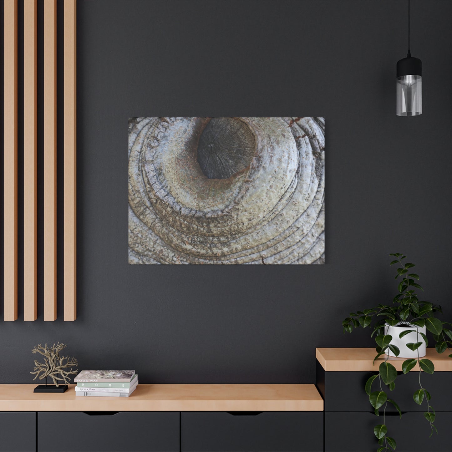 Bark's Eye - Unique Frameless Canvas Wall Art - Art By Earth