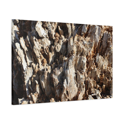 Decaying Bark Symphony - Unique Frameless Canvas Wall Art