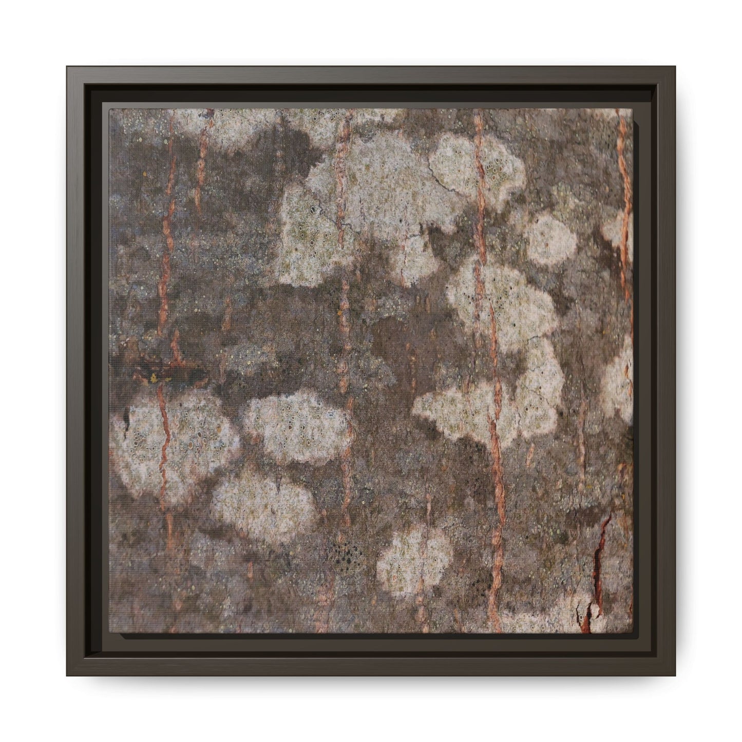 Lichen's Legacy - Unique Stretched Canvas Wall Art - Art By Earth
