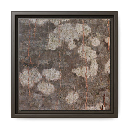 Lichen's Legacy - Unique Stretched Canvas Wall Art - Art By Earth