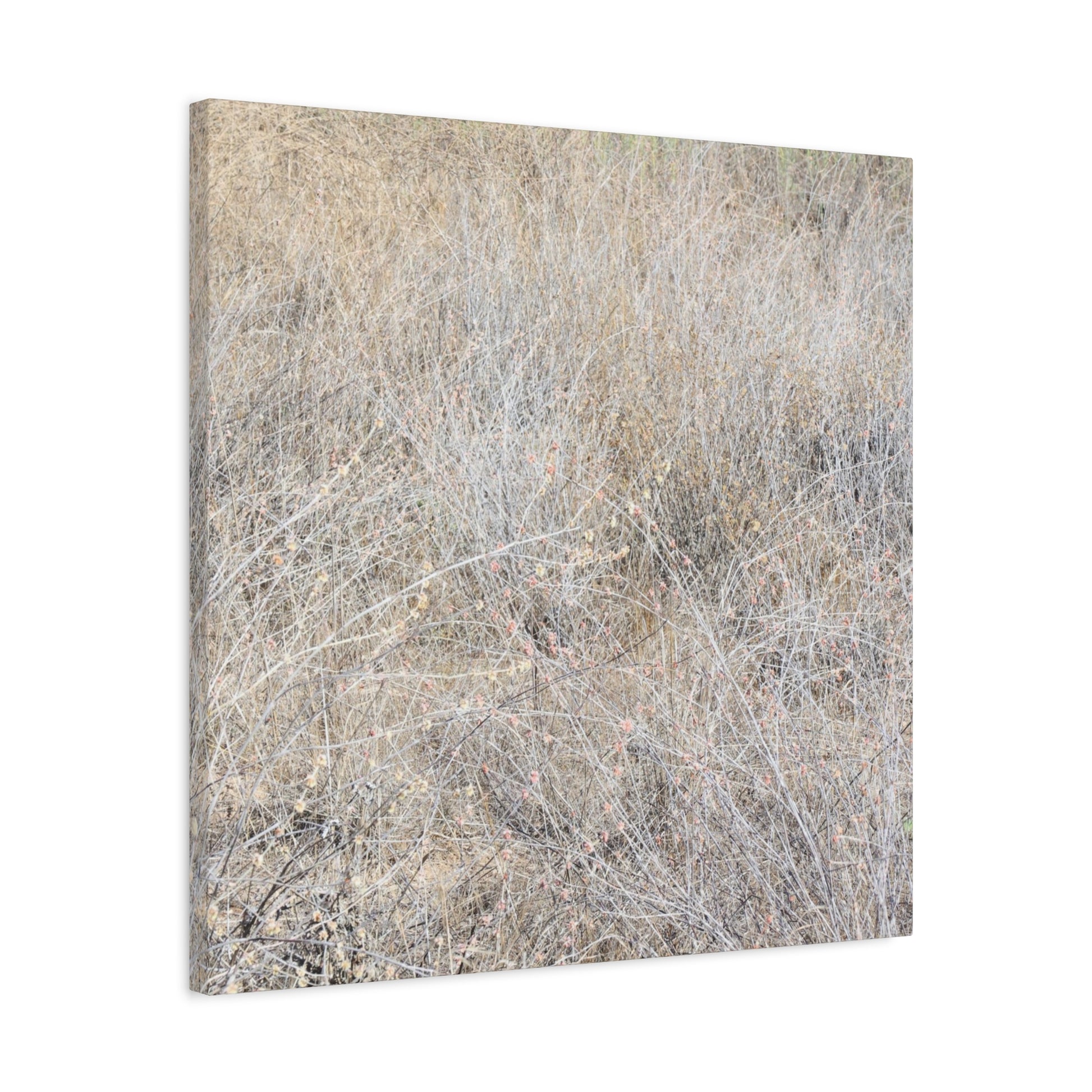 Tangled Whispers of Autumn's Fading Breath - Unique Frameless Canvas Wall Art - Art By Earth