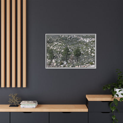 Rocky Hillside with Pine Trees - Unique Stretched Canvas Wall Art - Art By Earth