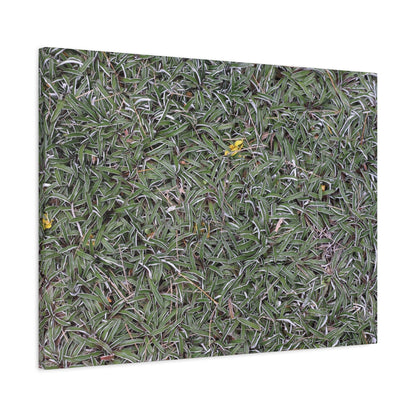 Tangled Memories - Unique Frameless Canvas Wall Art - Art By Earth