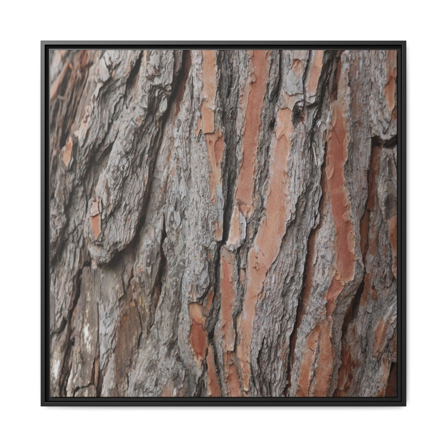 Woodland Layers - Unique Stretched Canvas Wall Art - Art By Earth