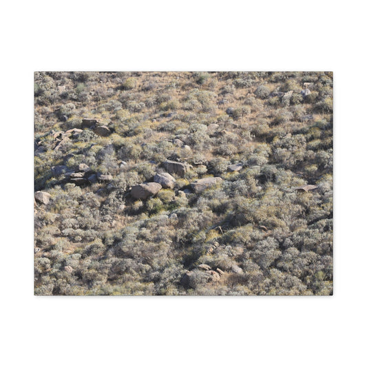 Desert Landscape with Scattered Rocks and Sage - Unique Frameless Canvas Wall Art - Art By Earth