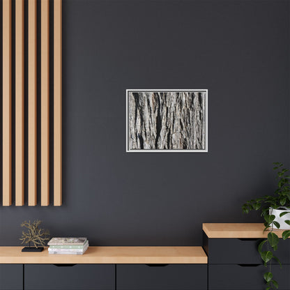 Bark Lines - Unique Stretched Canvas Wall Art - Art By Earth